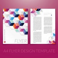 Vector brochure flyer template design with triangle elements