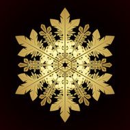 Snowflake N6