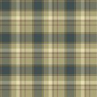 Seamless tartan pattern N65