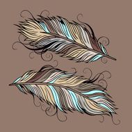 ethnic peacock Feathers N2