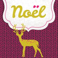Vector Christmas Noel greeting card