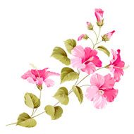 Flower hibiscus N5