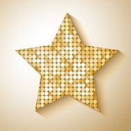 Shiny sequins star Eps 10 vector illustration N2