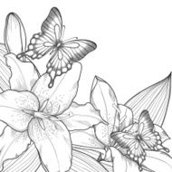 background with monochrome black and white lilies butterflies