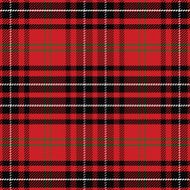 vector seamless pattern Scottish tartan N22