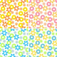 Daisies N2