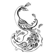 Peacock Decorative Vector illustration N9