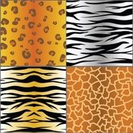 set of animal skins