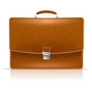 Briefcase N19
