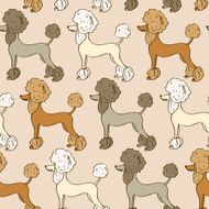 Seamless pattern of poodle dogs N6