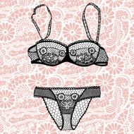 Hand drawn vector sexy lingerie set N22