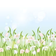 Spring flowers snowdrops seamless pattern horizontal border