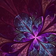 Beautiful fractal flower in blue and violet