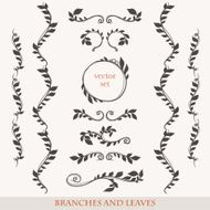 Elegant floral elements with branches and leaves