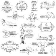 Calligraphic Design Elements and Vintage Frame collection with Lady Fashion