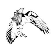 Vector Crow