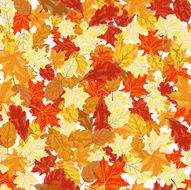 autumn leaves seamless