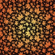 autumn leafs
