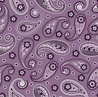 Vintage paisley N3