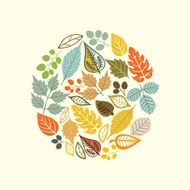 autumn leaf background N32