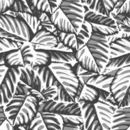 Black and white seamless background with leaves N2