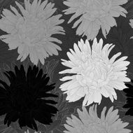 Beautiful monochrome black and white seamless background with flowers N9