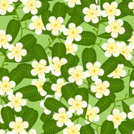 Seamless tropical pattern with stylized plumeria flowers