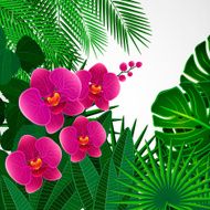 Floral design background N2