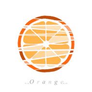 Vector of fruit orange icon N2