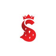 Sign the letter S N3