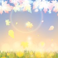 Autumn abstract background with leaf N34