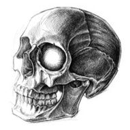 Skull N32
