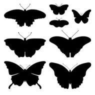 Vector black silhouettes of butterflies N4