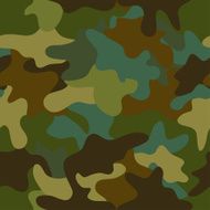 Seamless camouflage pattern N10