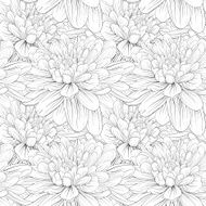 Beautiful monochrome black and white seamless background with flowers dahlia N2