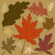 Leaves N19