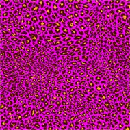 leopard pattern N23
