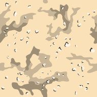 US military desert camouflage