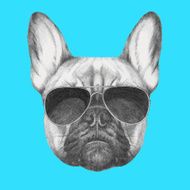 Hand drawn portrait of French Bulldog with sunglasse