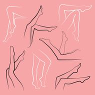 Set of vector silhouettes female legs