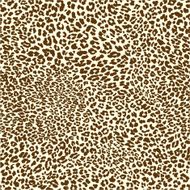 leopard pattern N24
