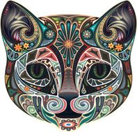 Cat N37