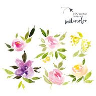 Watercolor cet N5