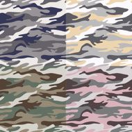 Camouflage seamless pattern N13