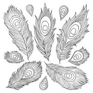 Vintage Feather vector set N3