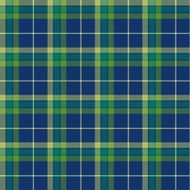 Seamless tartan pattern N69