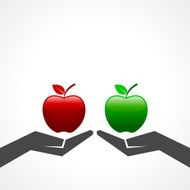Red and green apple on hand