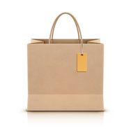 Paper Shopping Bag N3