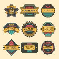 Assorted designs vector colorful vintage badges and labels set 5