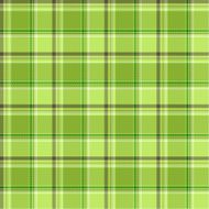 green checks N2